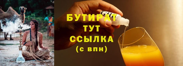 сатива Архангельск