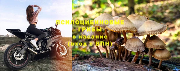 дурь Кущёвская