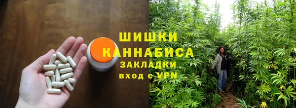 сатива Краснослободск