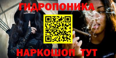 твердый Гусь-Хрустальный