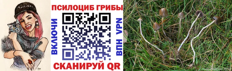 Галлюциногенные грибы Magic Shrooms гидра tor Гуково