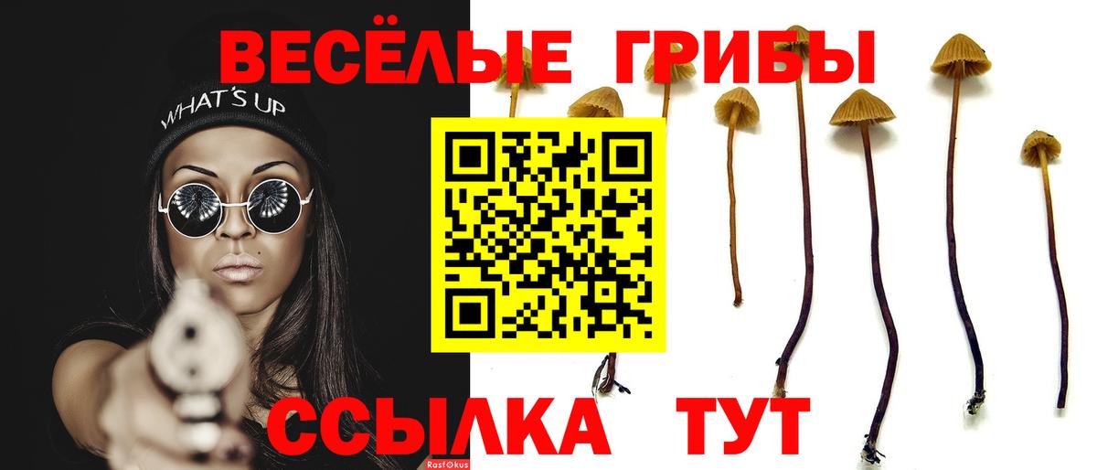 Псилоцибиновые грибы Psilocybe  Вход с VPN  Гуково 